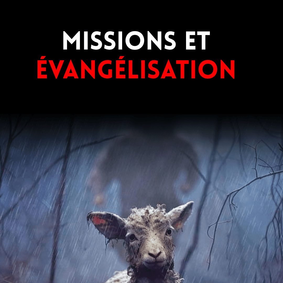 Une structure biblique solide