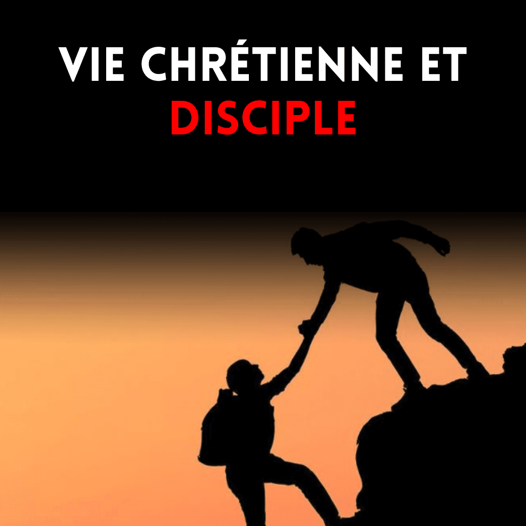 Excellence et autorité